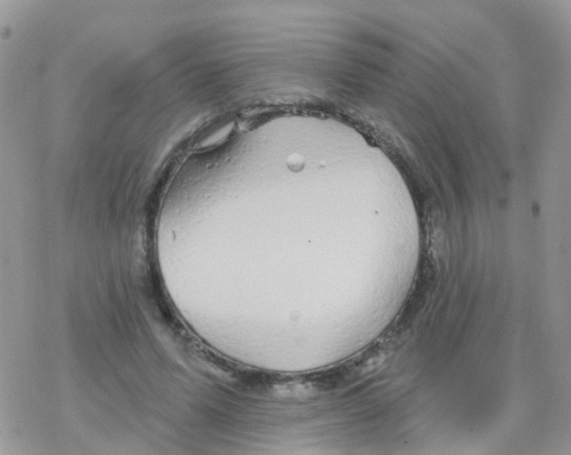 X0000078310591200611251535