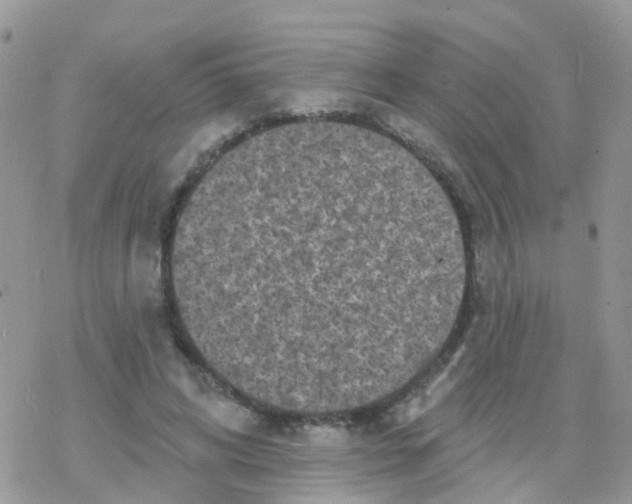 X0000078310592200611251535