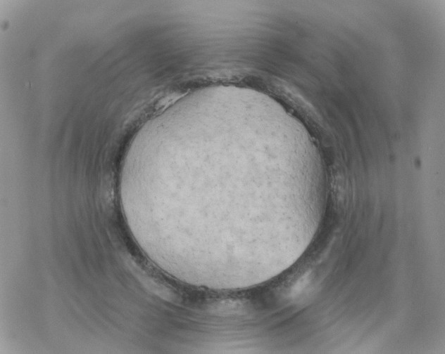 X0000078310593200611251535