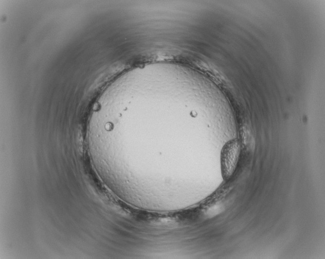 X0000078310594200611251535