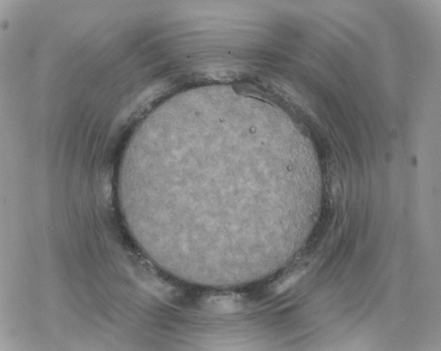 X0000078310595200611251535