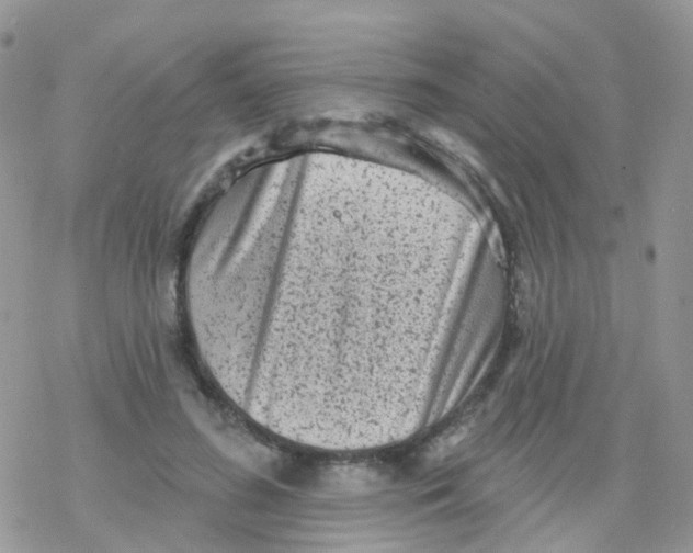 X0000078310596200611251535