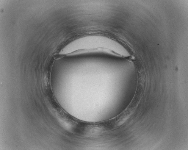 X0000078310597200611251535