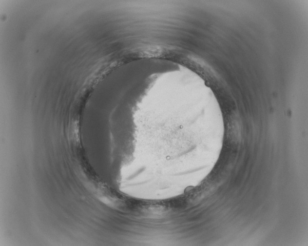 X0000078310598200611251535