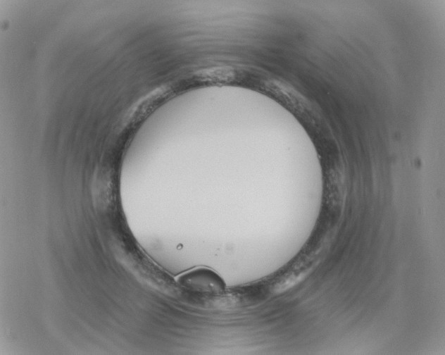 X0000078310600200611251535