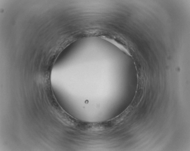 X0000078310601200611251535