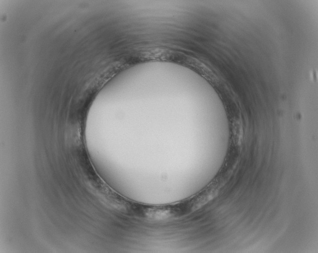 X0000078310602200611251535