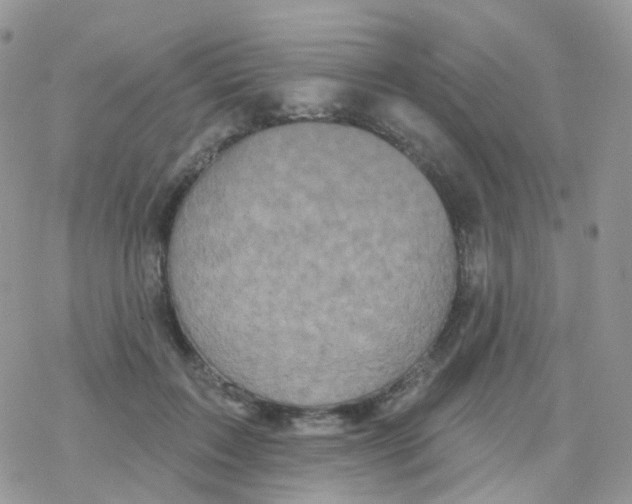 X0000078310603200611251535