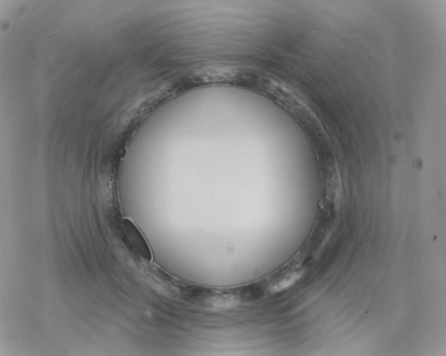 X0000078310604200611251535