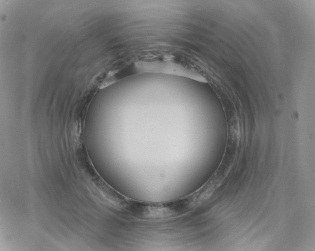 X0000078310605200611251535