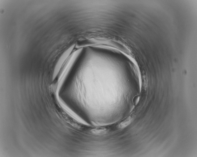 X0000078310606200611251535