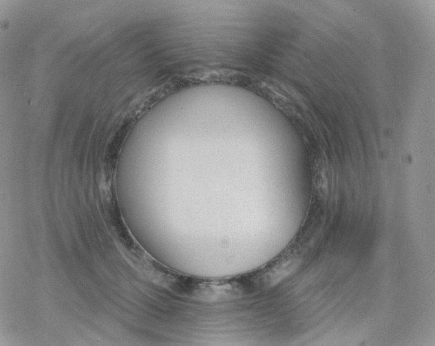 X0000078310607200611251535