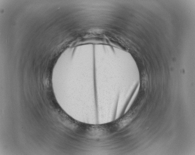 X0000078310608200611251535