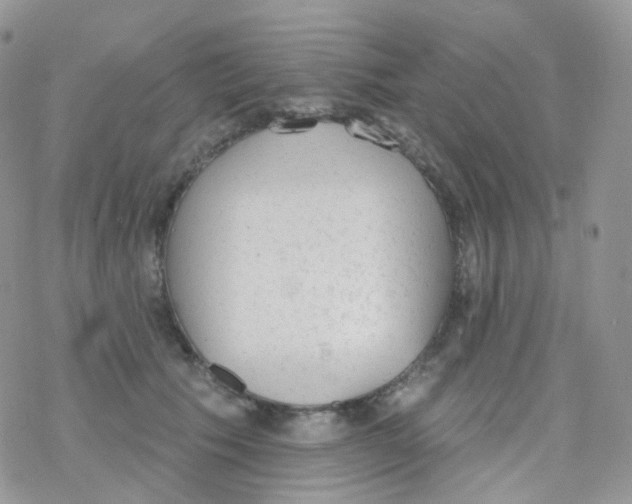 X0000078310609200611251535