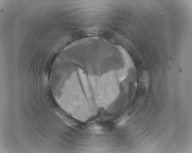 X0000078310610200611251535