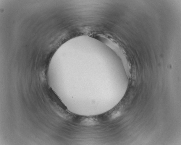 X0000078310611200611251535