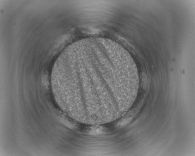 X0000078310612200611251535