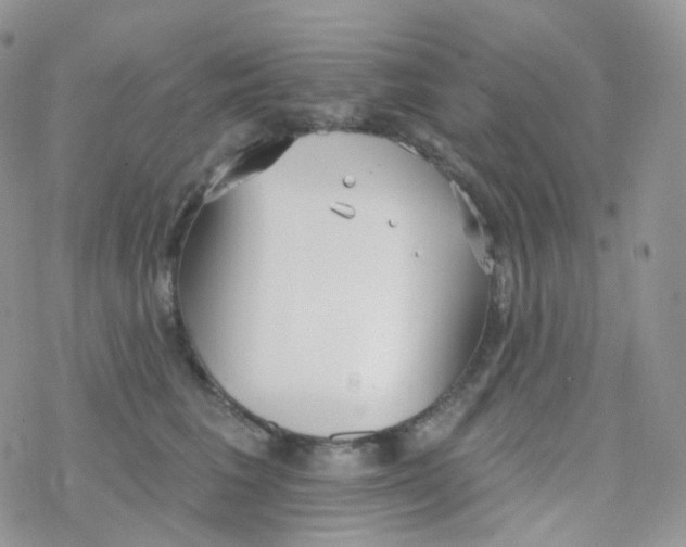 X0000078310613200611251535