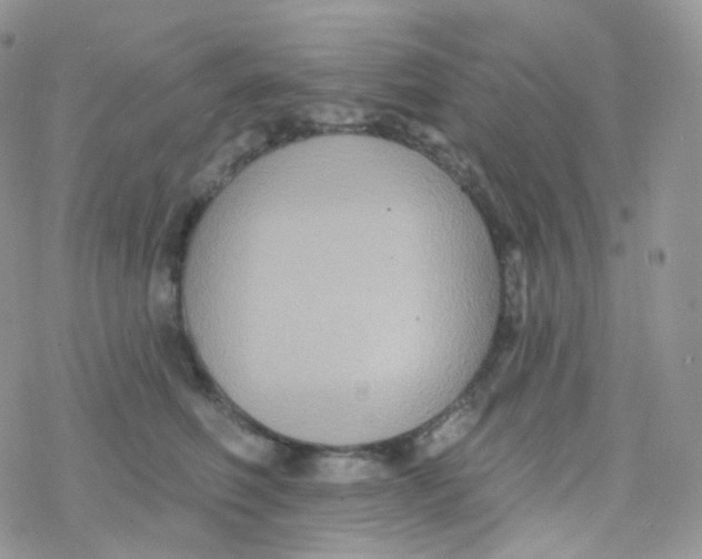 X0000078310614200611251535