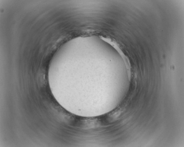 X0000078310615200611251535