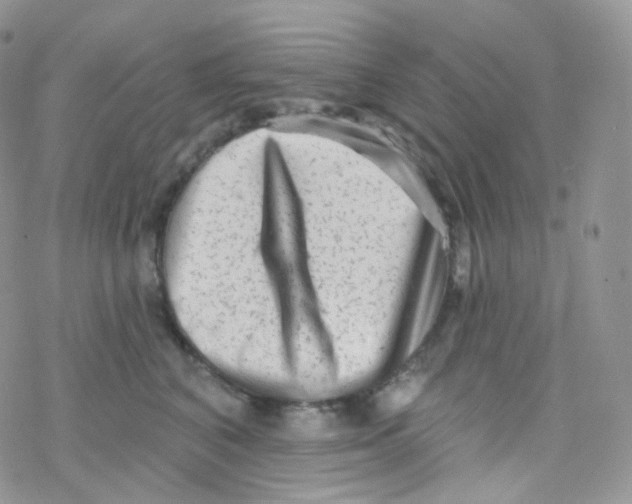 X0000078310616200611251535