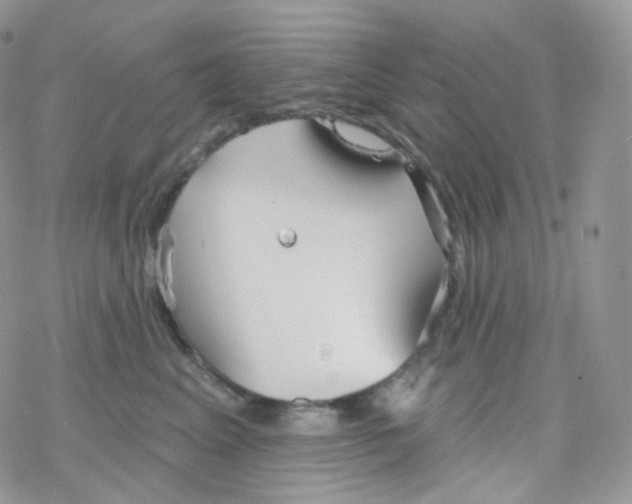 X0000078310617200611251535