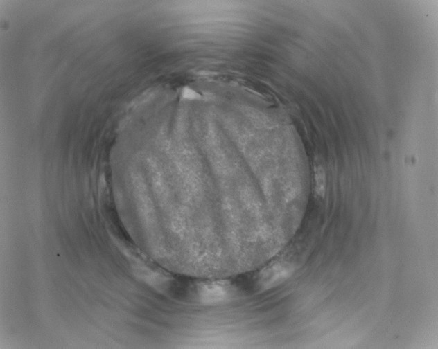 X0000078310618200611251535