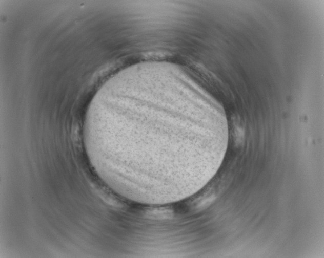 X0000078310619200611251535