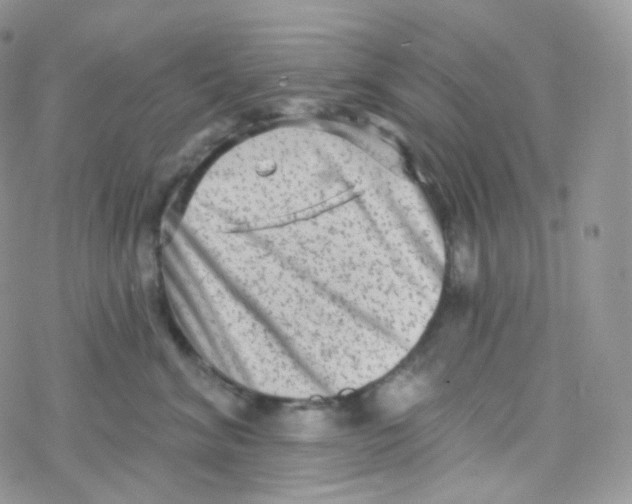 X0000078310620200611251535