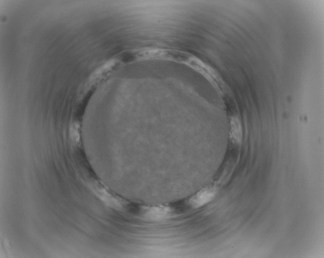 X0000078310621200611251535