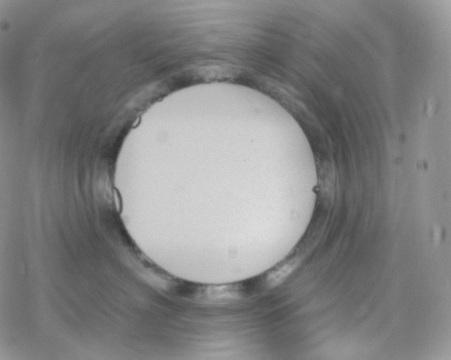 X0000078310622200611251535