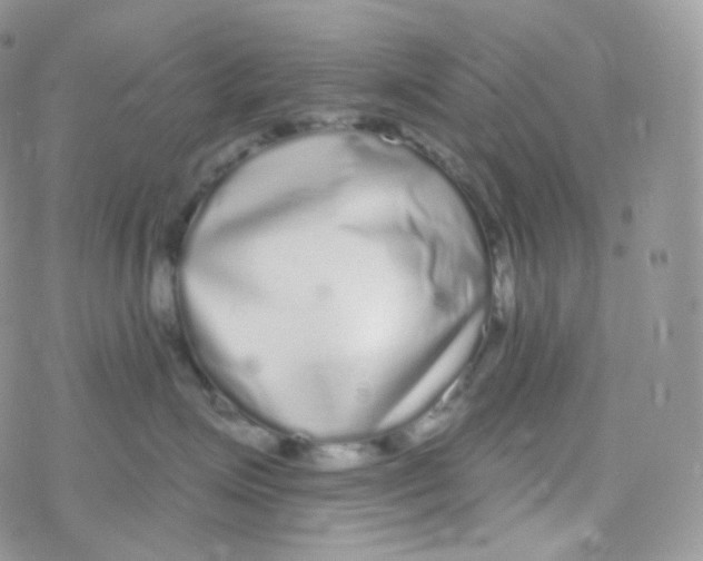 X0000078310623200611251535