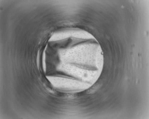 X0000078310624200611251535