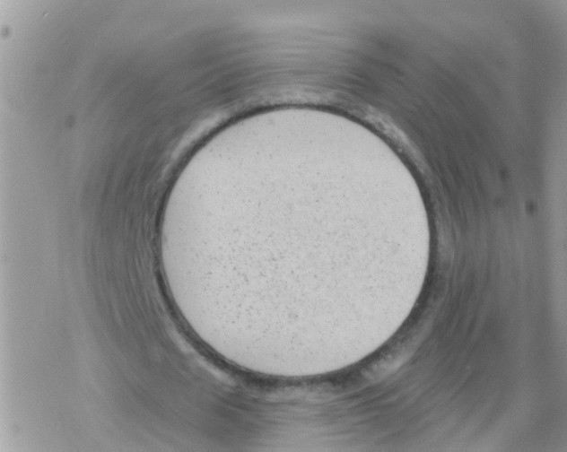 X0000078310625200611251534