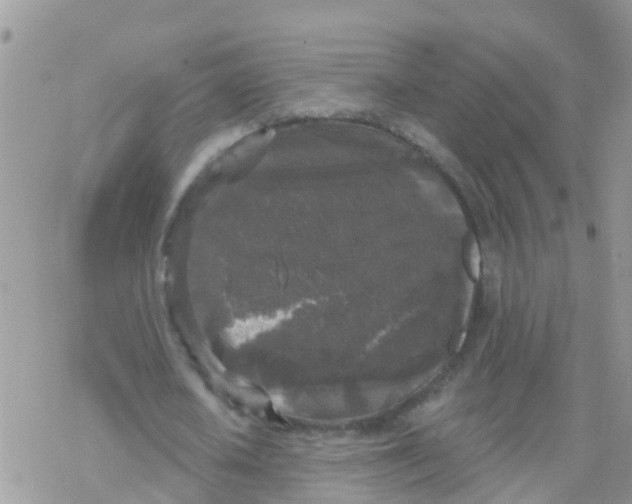 X0000078310626200611251534