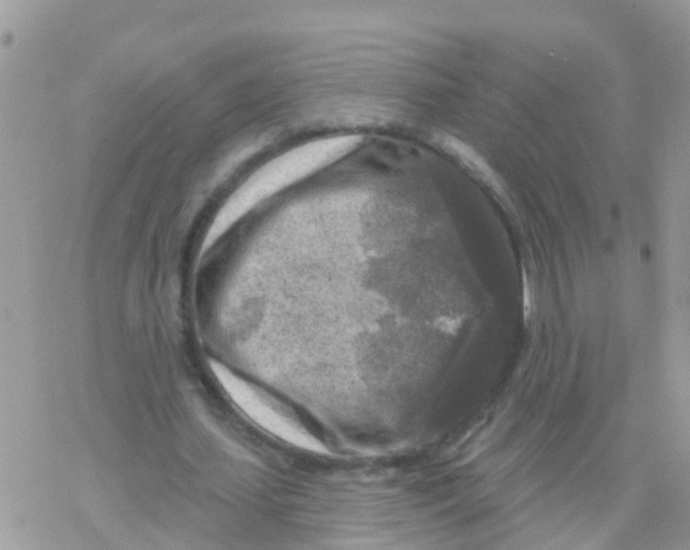 X0000078310627200611251534