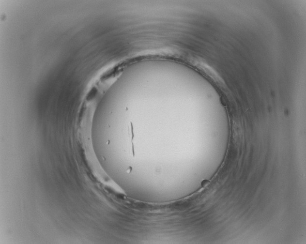 X0000078310628200611251534