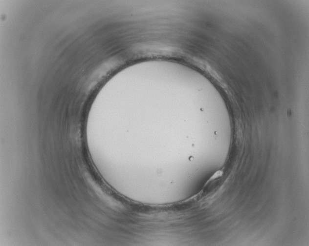 X0000078310629200611251534