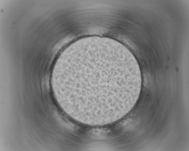 X0000078310632200611251534