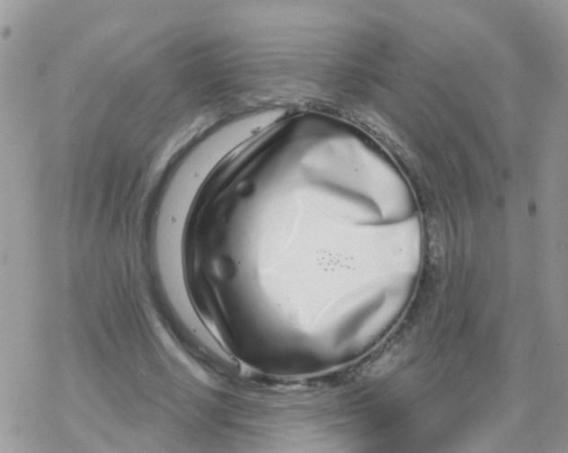 X0000078310634200611251534