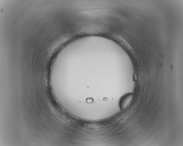 X0000078310635200611251534