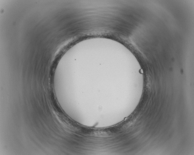 X0000078310636200611251534