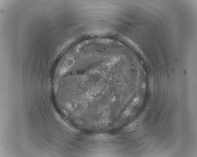 X0000078310637200611251534