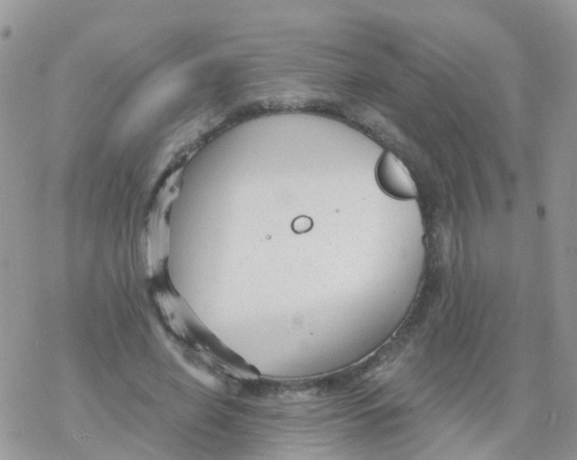 X0000078310638200611251534