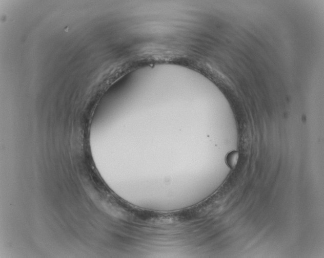 X0000078310639200611251534