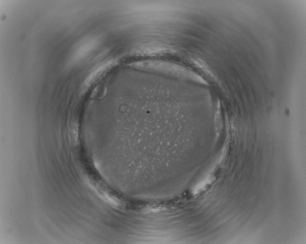 X0000078310640200611251534