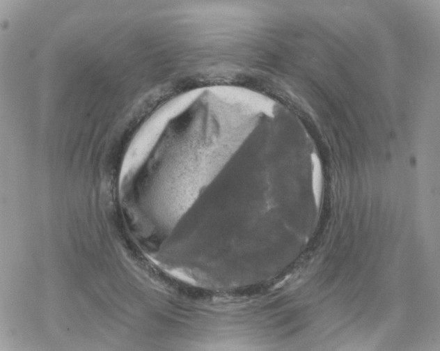 X0000078310641200611251534