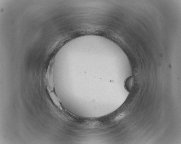 X0000078310642200611251534