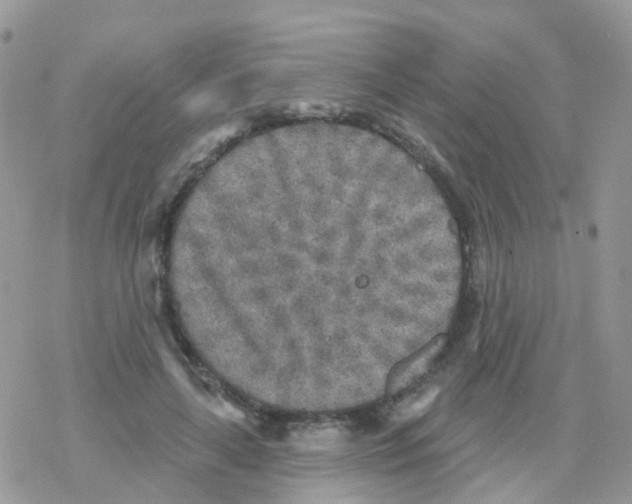 X0000078310643200611251534