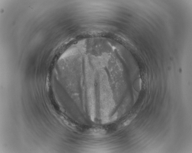 X0000078310644200611251534